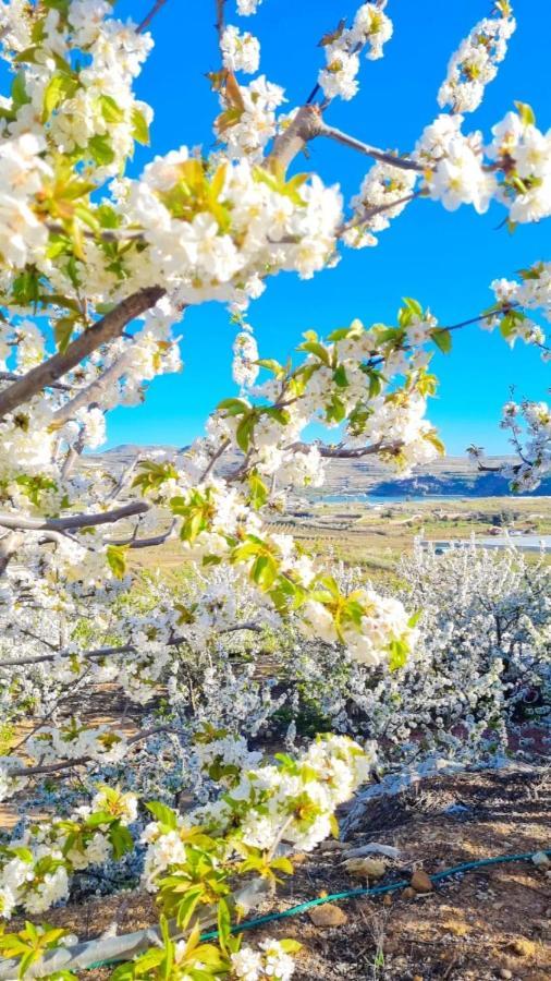 B&B In Nature Nimrod Dış mekan fotoğraf